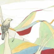 Snow Caps - Baby Bird (Re-Issue) (2011)